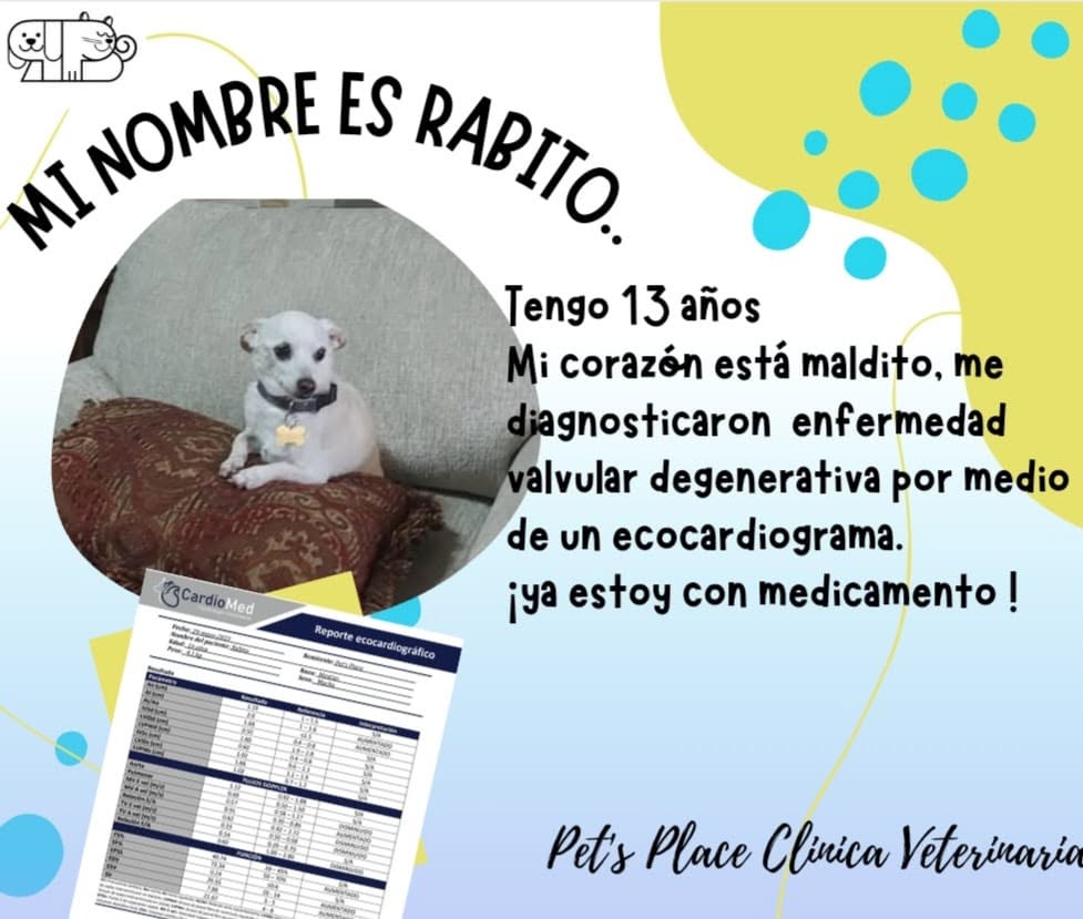 Testimonio de paciente atendido en Place for Pet's